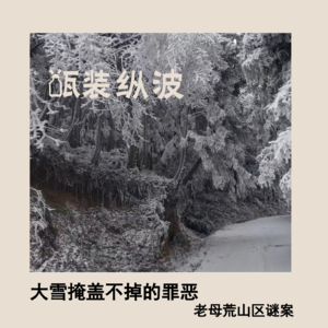 2.大雪掩盖不掉的罪恶:湖北老母荒山区谜案