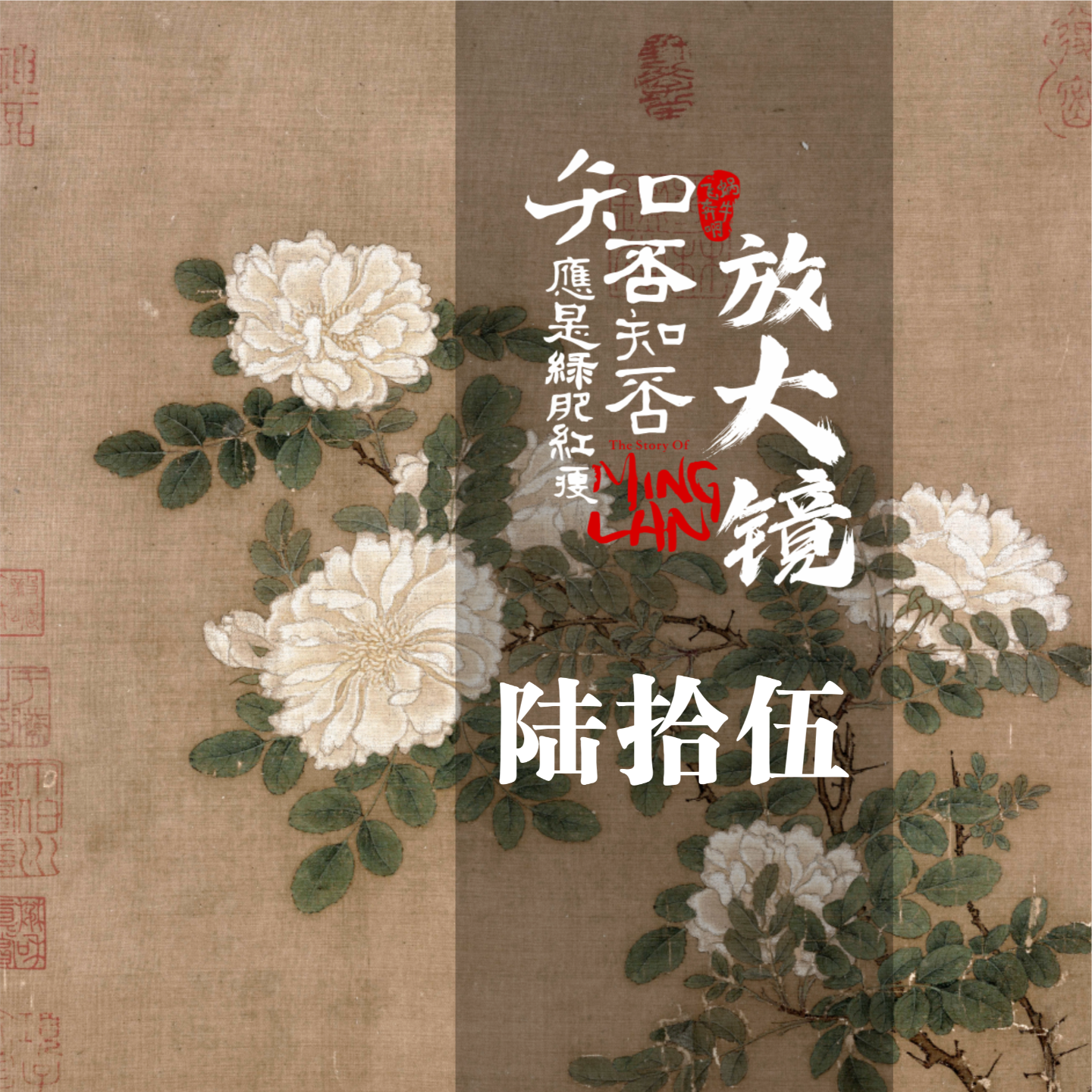 知否放大镜65：明兰送诏之功为何被隐藏？贺弘文到底是意难平还是危险？ episode artwork