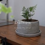 方粑粑的卡皮巴拉