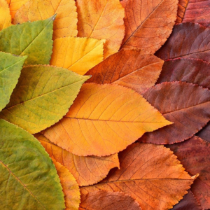 EP17 全球宏观量化投资策略