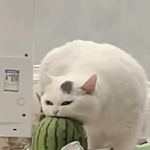 EP30 1~2月内娱盘点 | 砸车、霸凌、逃兵役、人命案，男明星都疯了？