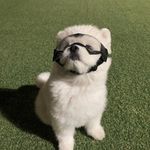 yangy0_0