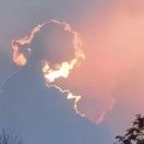 何物昂黄
