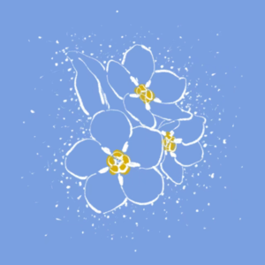 EP18 《恋与深空》植物考：男人与花