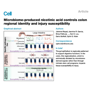 779-Microbio-Nicotinic Acid Regulate Colon Regional Identity