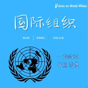 Vol.3 国际组织是理想主义的最优解吗？国际组织分享下集