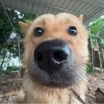 绝望男小三