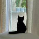 縹緲孤鴻影_3g1A