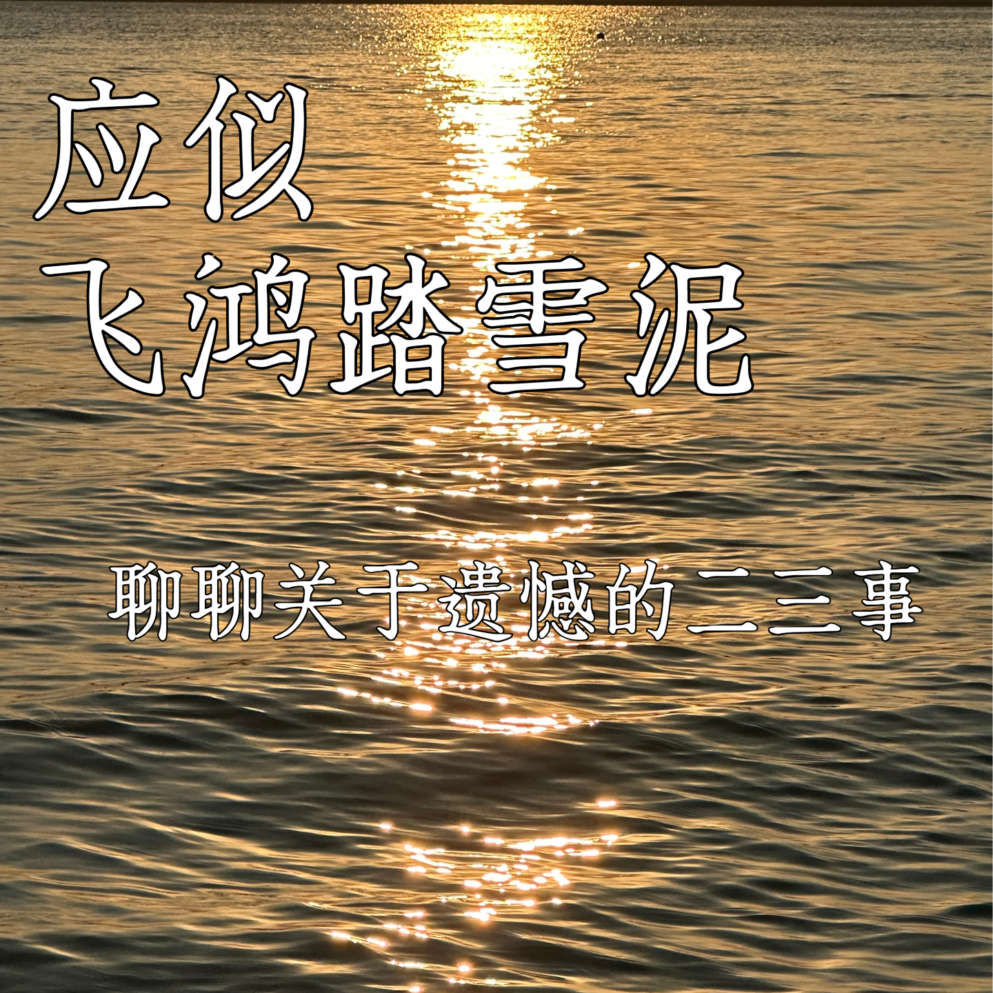 E07:应似飞鸿踏雪泥：聊聊关于遗憾的二三事 episode artwork