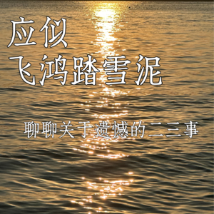 E07:应似飞鸿踏雪泥：聊聊关于遗憾的二三事