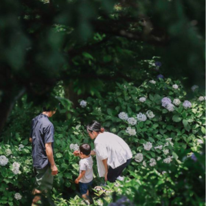 vol.89 中医三步走，改善经期血块多，宫寒等，找回阴阳平衡。