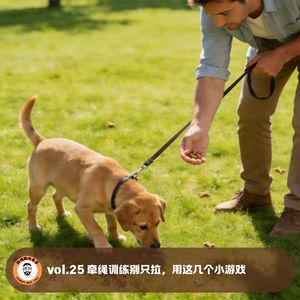 vol.25 牵绳训练别只拉，用这几个小游戏
