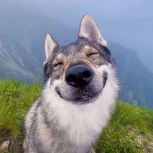 podcaster-avatar