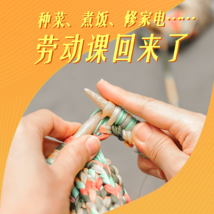 种菜、煮饭、修家电，劳动课回来了
