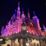 红鲤鱼与绿鲤鱼和驴