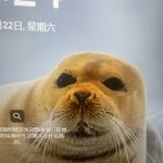 ychen_441