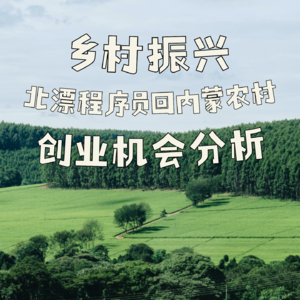 乡村振兴:北漂程序员回内蒙古农村创业机会分析
