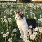 小赵要多读书__