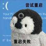一只猪的开心生活