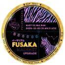 神秘博士的小号