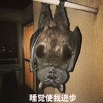 吃饭使我进步