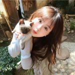 向春日