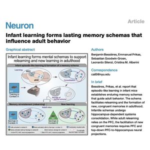912-Infant Memory Schemas