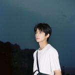 西奈半岛的月光