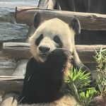 huahuaaaaaaa