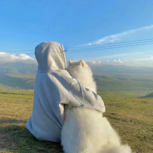 安娜卡列尼娜第1部第22章