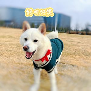 好听好笑播音室