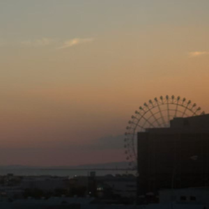 小埃：我们都想要一个利益至上的世界