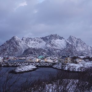 #4 摩根斯坦利解读AI对保险业的改造