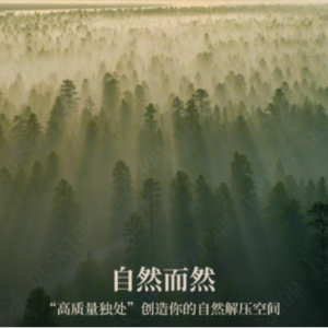 8 拥有一个你说了算的人生--自我觉知