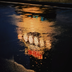 diary16：沈阳暴雨实录|就算大雨让整座城市颠倒我会给你怀抱