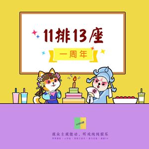11排13座