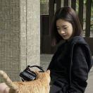 _鱼