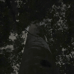 Current flux (noise, experimental, ambient)