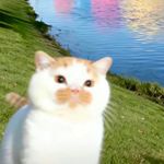 紫色青铜锁