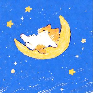月亮与猫🌙