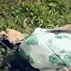 6.桥下纸箱惊现扑克牌无名女尸，广大网友化身福尔摩斯