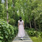 不需要如果