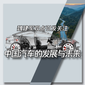 Vol.17 魏建军观点引发关注:中国汽车的发展与未来