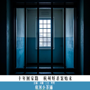 十年回家路 杭州奸杀案始末