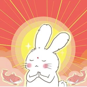 时好时差锦鲤兔