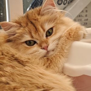 人口老龄化和银发经济