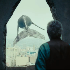 Vol.59 七月观影记忆：见证一场绝美的遗忘和一场拙略的模仿