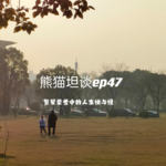 47.人生快与慢：《警察荣誉》里“命运”的多姿多彩