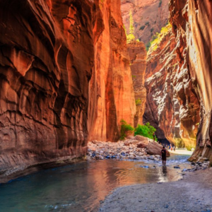 EP19 硬核版美西徒步之旅：山顶冥想、原地野尿、人生35问