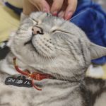 小小读读